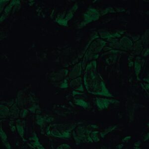 French terry sort m/ grønne detaljer